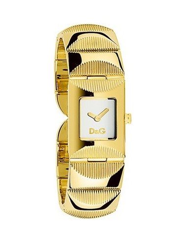 D&g on sale gold watch